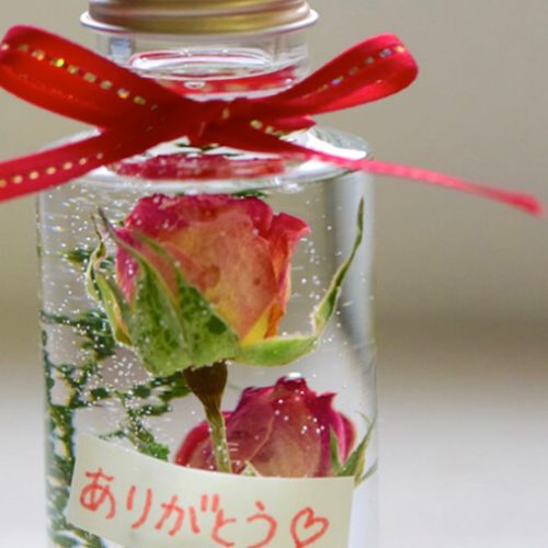 生花からハーバリウムを作るアイデアと簡単な作り方 Craftie Style