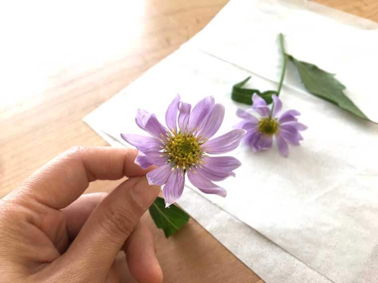 押し花の作り方と活用アイデア Craftie Style
